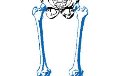 Rectangle 15