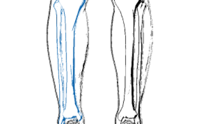 Rectangle 16
