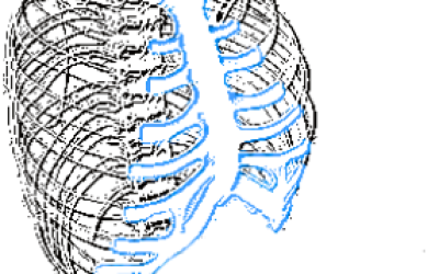 Rectangle 18