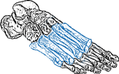 fhghgh 1