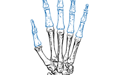 l,ll,l,l,l,l, 1