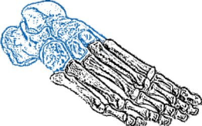 ulull 1