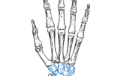 wewfrdgt 1